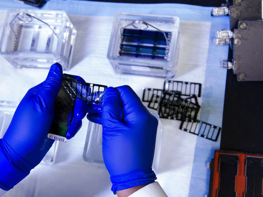 Bio Technology. Shidonna Raven Garden & Cook