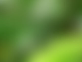Ensayos no destructivos: en la naturaleza y en sus instalaciones