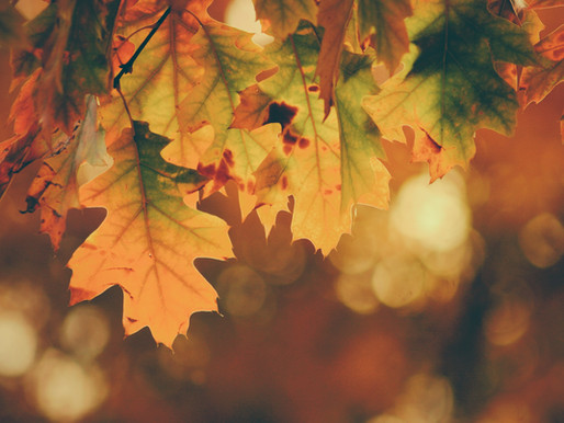 Fall Travel Registration Open