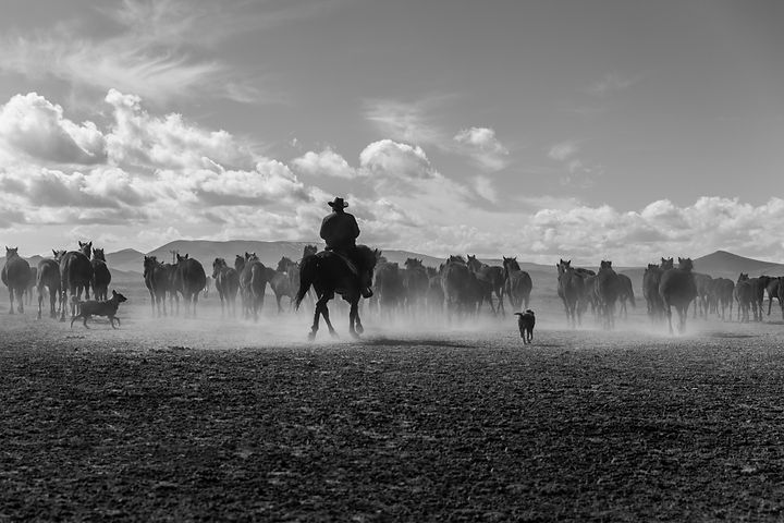Image by Mahir Uysal