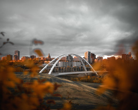 Alberta Express Entry Stream: Navigating Your Way to Permanent Residency
