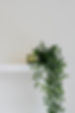 Image by Jessica Arends
