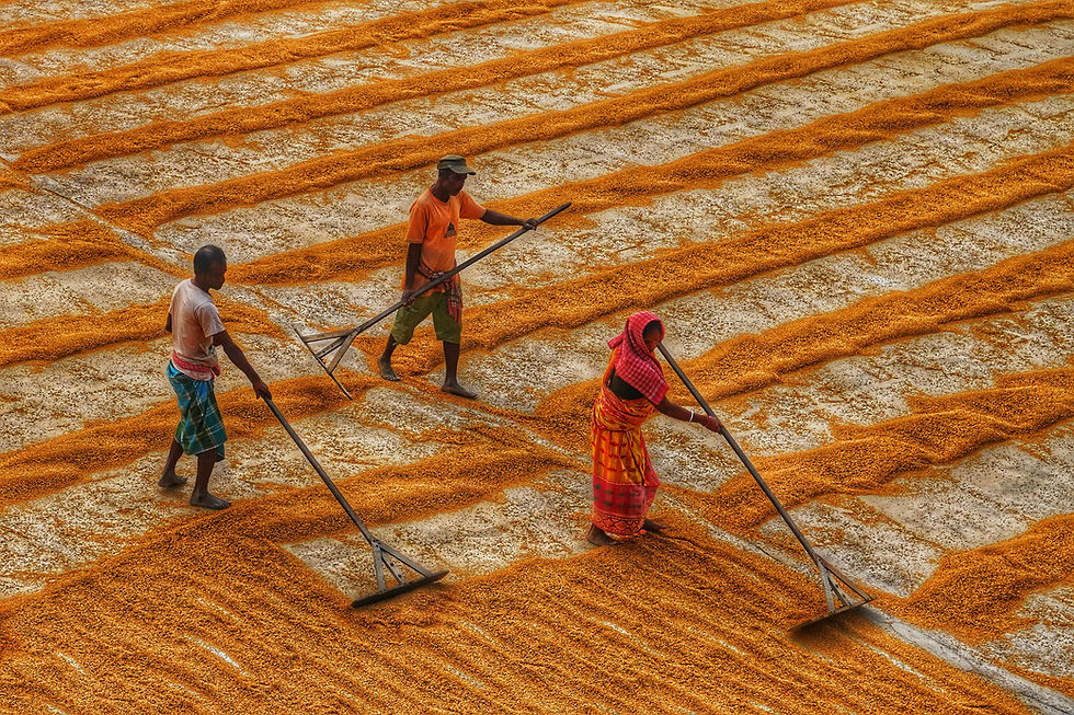 A Case Study of the Mahatma Gandhi National Rural Employment Guarantee Act (MGNREGA) through the Lens of Eco-Social Contract