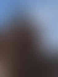 20 Imprescindibles que ver y hacer en Ávila