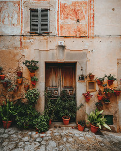 Image by Herr Bohn