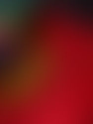 Bandeira de Portugal como símbolo do apelo contra a violência doméstica.