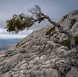 Image by Pedro Sanz