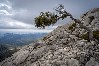 Image by Pedro Sanz