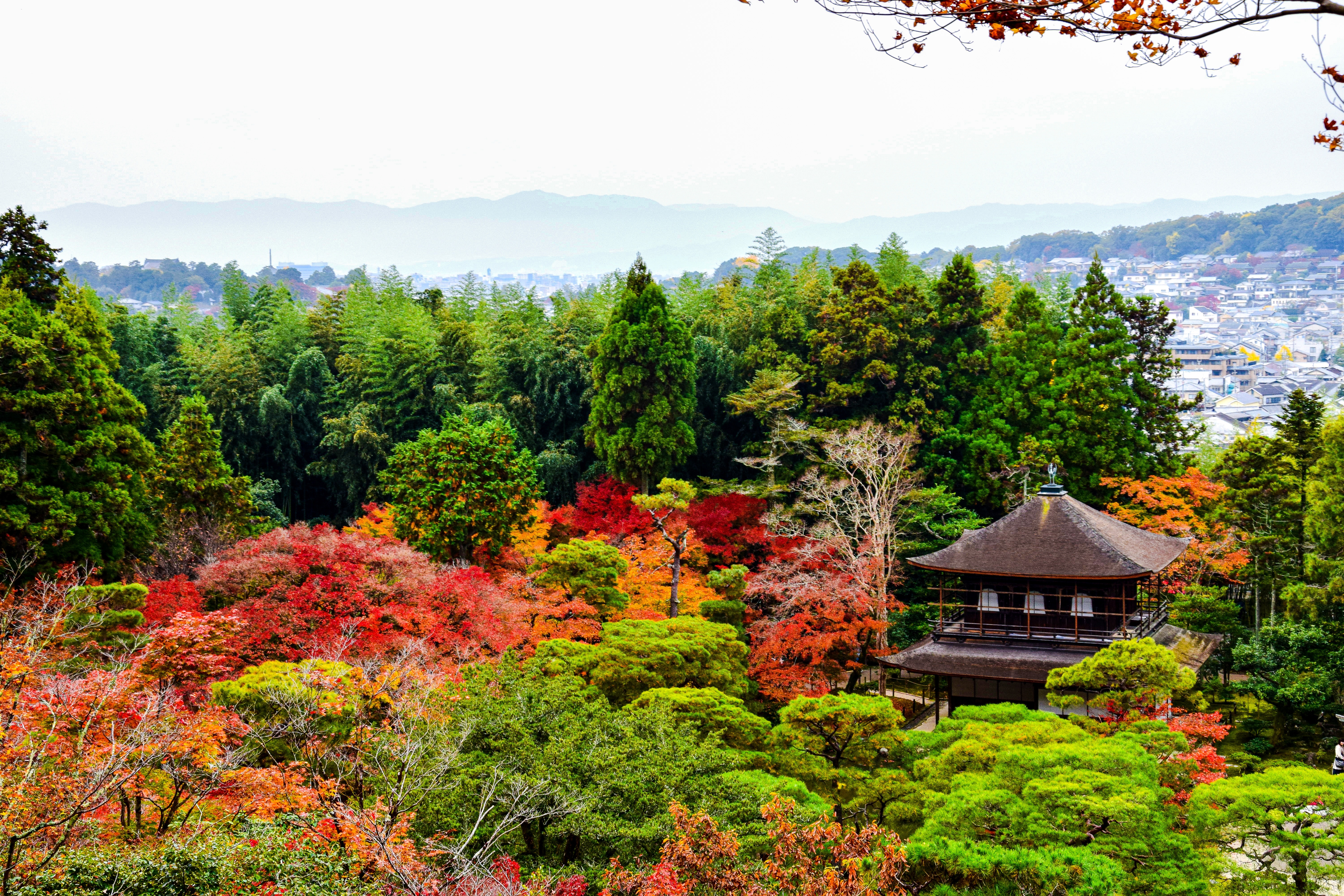Kyoto Escape: A Journey Through Time — photo 4
