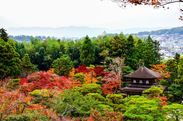 Kyoto Escape: A Journey Through Time — photo 4