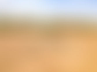 O Papel Invisível dos Minerais na Agricultura