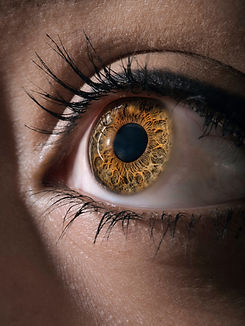 Image by Venti Views