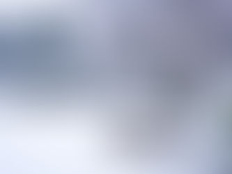 Jardiner en hiver : que faire au jardin en décembre ?