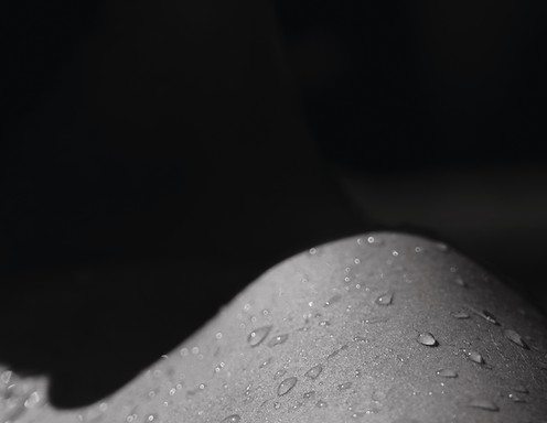 Image by Marine Sintes