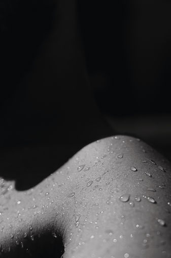 Image by Marine Sintes