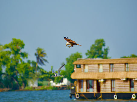 Your Ultimate 9-Day Travel Itinerary for Trichy, Thanjavur, Madurai, Rameswaram, Thiruchendur, Kanyakumari, Trivandrum, Varkala, Alleppey, Cochin (Tamil Nadu & Kerala)