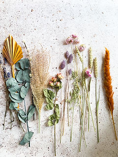 Image by micheile henderson