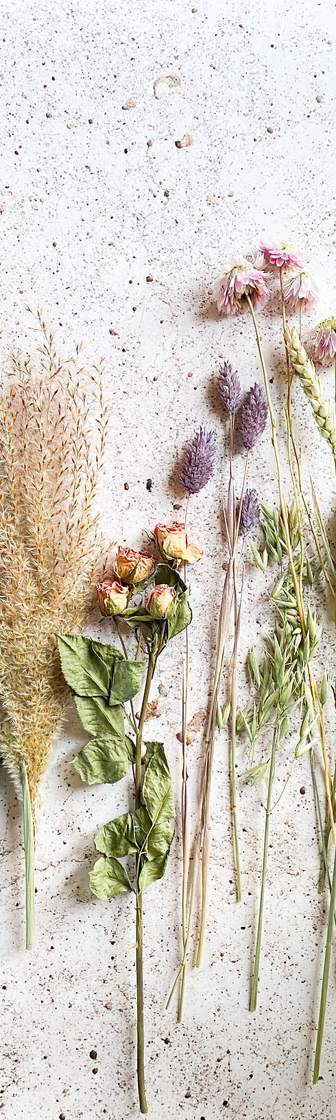Image by Visual Stories || Micheile