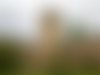 Толкование Ефесянам 6:19–20 — Тайна благовествования и дерзновение в служении