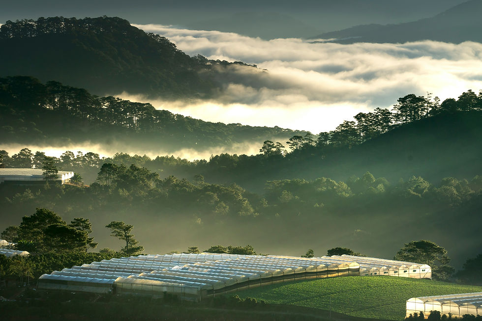Marketing e Armazenamento de Energia: como posicionar valor no modelo Energy as a Service