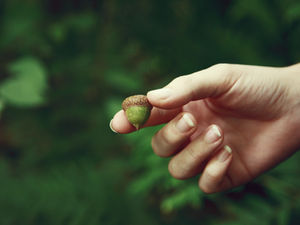 A hand gently holds a small green acorn against a blurred green forest background, conveying a serene and natural mood.