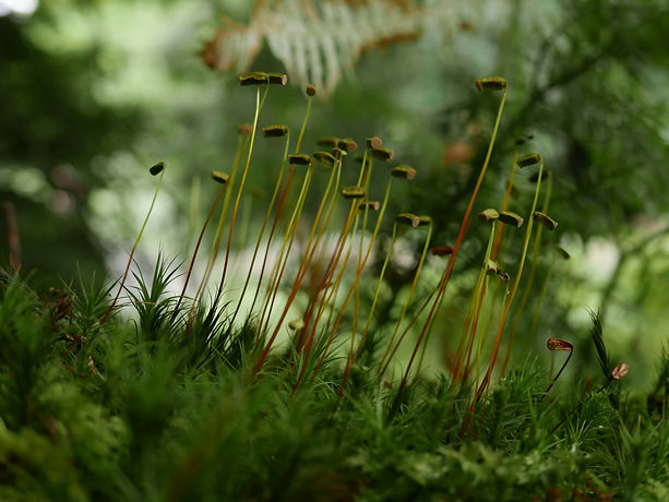 Image by perrin o’hagan