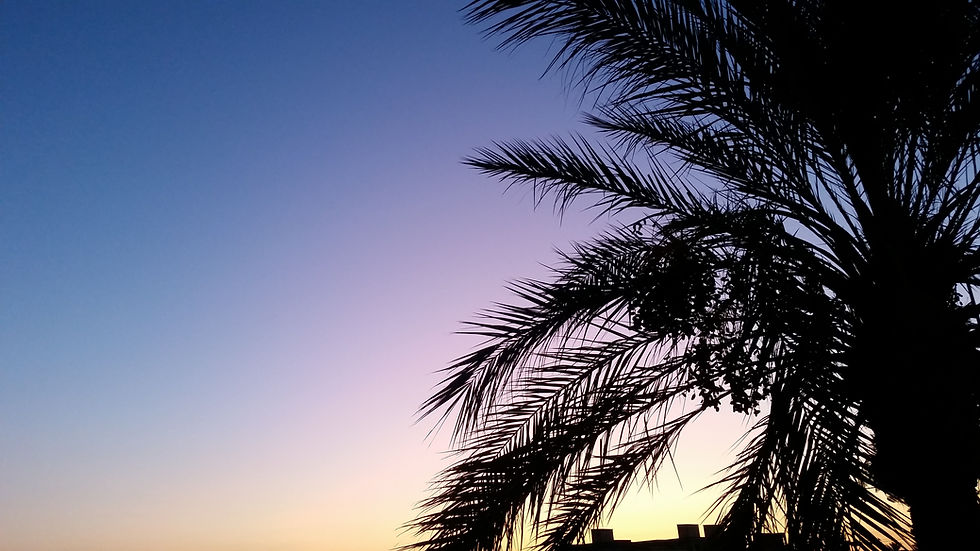Image by Karim Babi