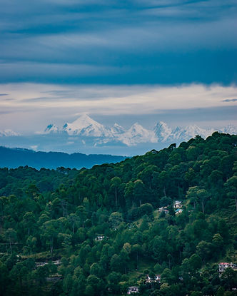 Image by Sanjay Koranga