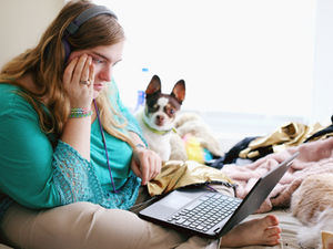 The Truth About Cheap Pet First Aid Courses