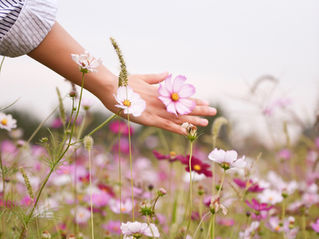 Gemini Season: Embracing Communication, Curiosity, and Connection
