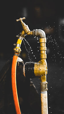 Image by Valentin Petkov
