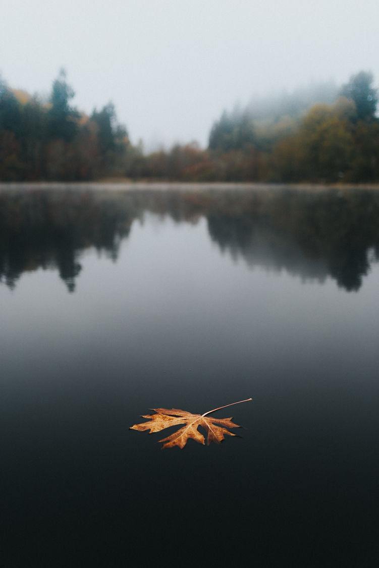 Image de Cole Keister