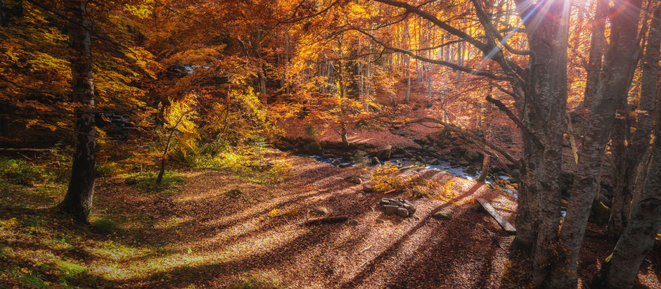 There will always be a river. There will always be the woods.