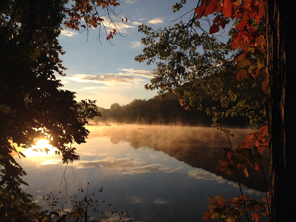 Sisters of Saint Dominic of Blauvelt, New York Scripture Reflection