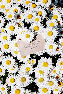 Image by Allie Smith