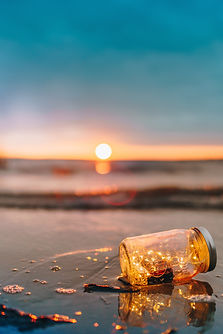 Image by Andrew Bui