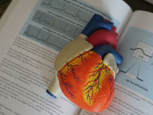 Building a Strong CV During Your Clinical Rotations: A Guide for Medical Students