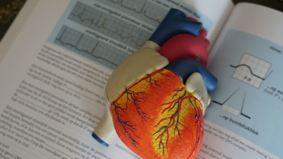 English For Medical Sciences