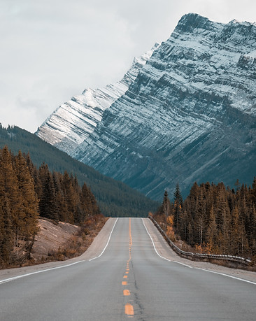 Image by Mark Basarab