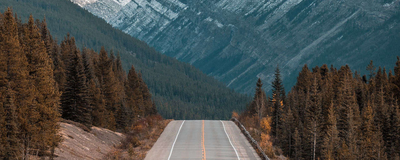 Image by Mark Basarab