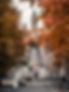 Image by Tapio Haaja