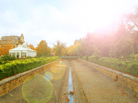 Hiring the Best Landscape and Drainage Service Solutions in Nashville