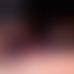 Trevor Winter Chorus and Band Concert 2025