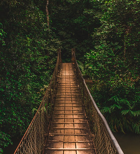 consulente-aziendale-piccole-imprese-milano