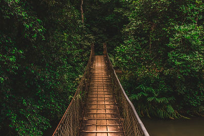 Image by Ronaldo de Oliveira