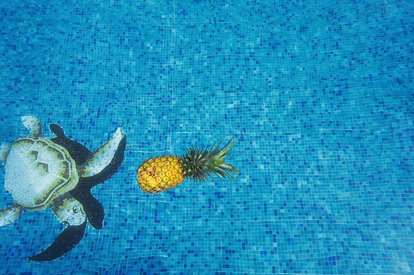 Image by Pineapple Supply Co.