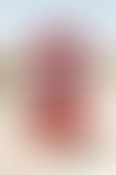 Using LLMs Effectively: Insights