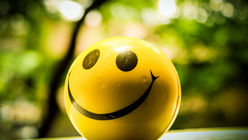 Ich seh, ich seh....