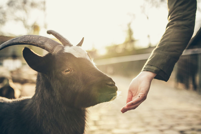 Image by Patryk Sobczak