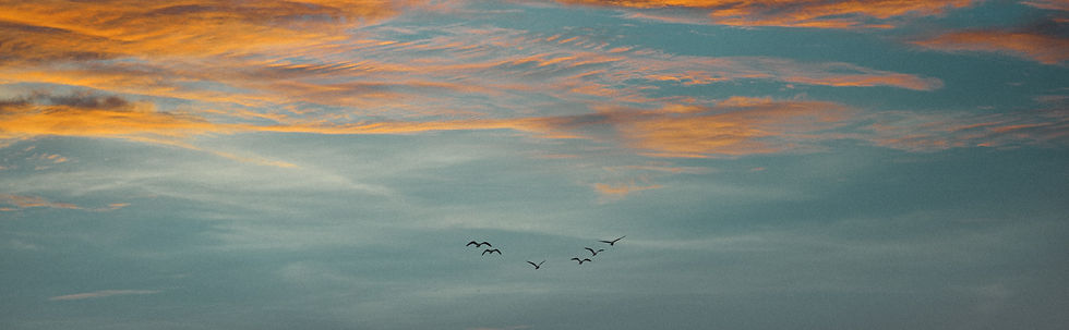 Image by Nahil Naseer